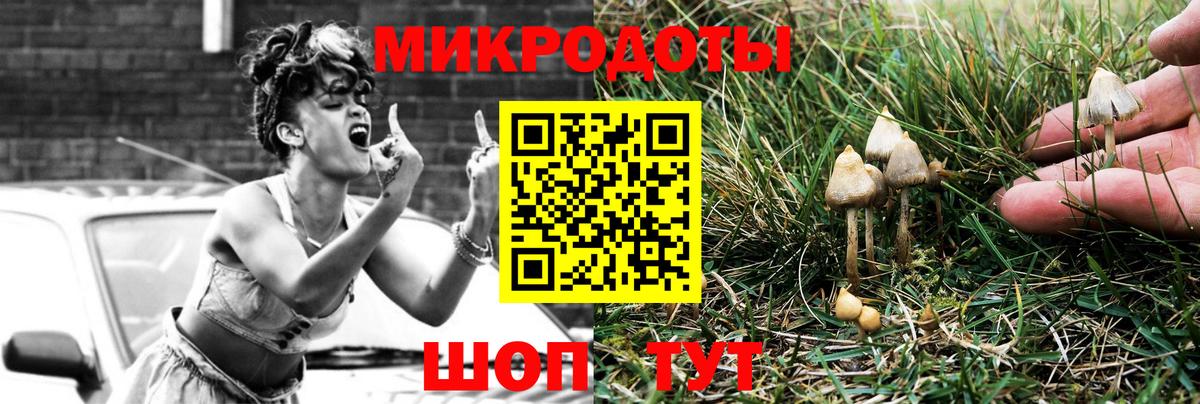 Псилоцибиновые грибы Cubensis Лысьва