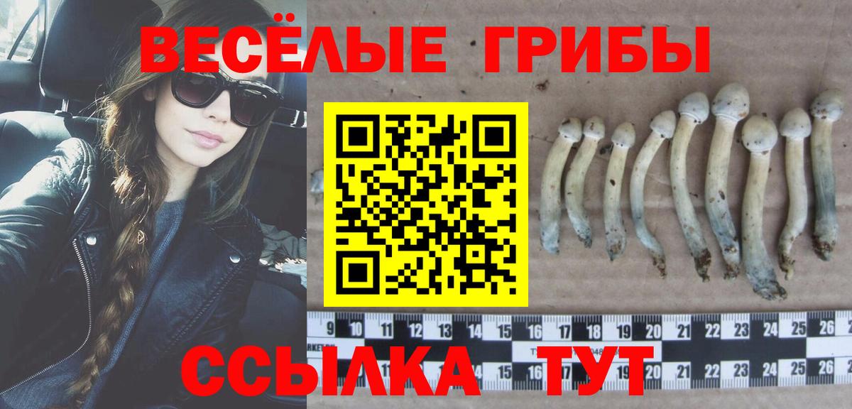 Лысьва  Галлюциногенные грибы GOLDEN TEACHER  Галлюциногенные грибы Psilocybe  Вход с VPN 